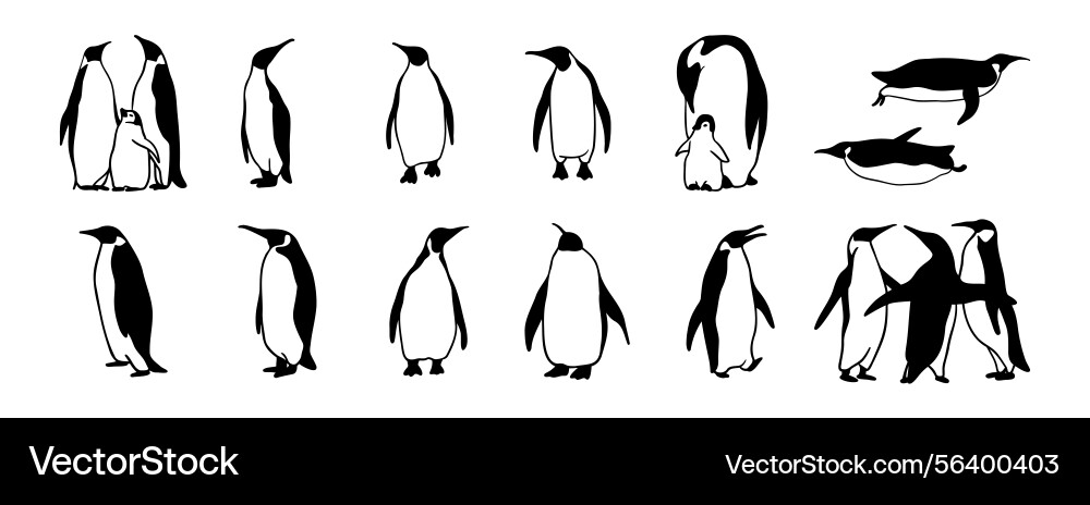 Penguin logo doodle hand drawn icon set outline Vector Image