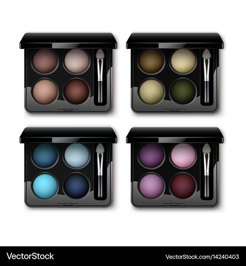 Set of multicolored eye shadows in case applicator vector image