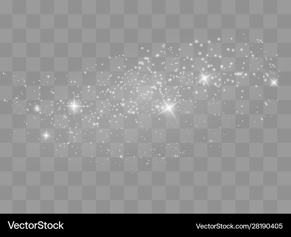 Dust sparks and golden stars shine vector image