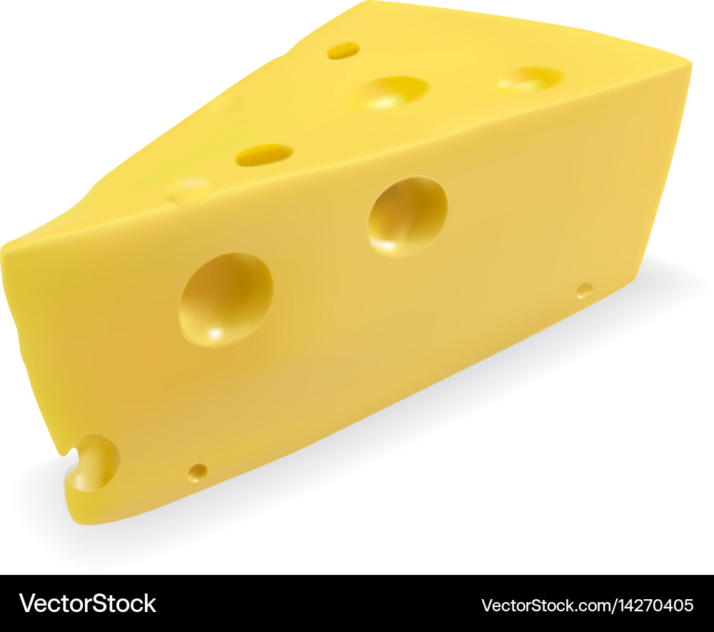 Realistic 3D Cheese Block Vector Image