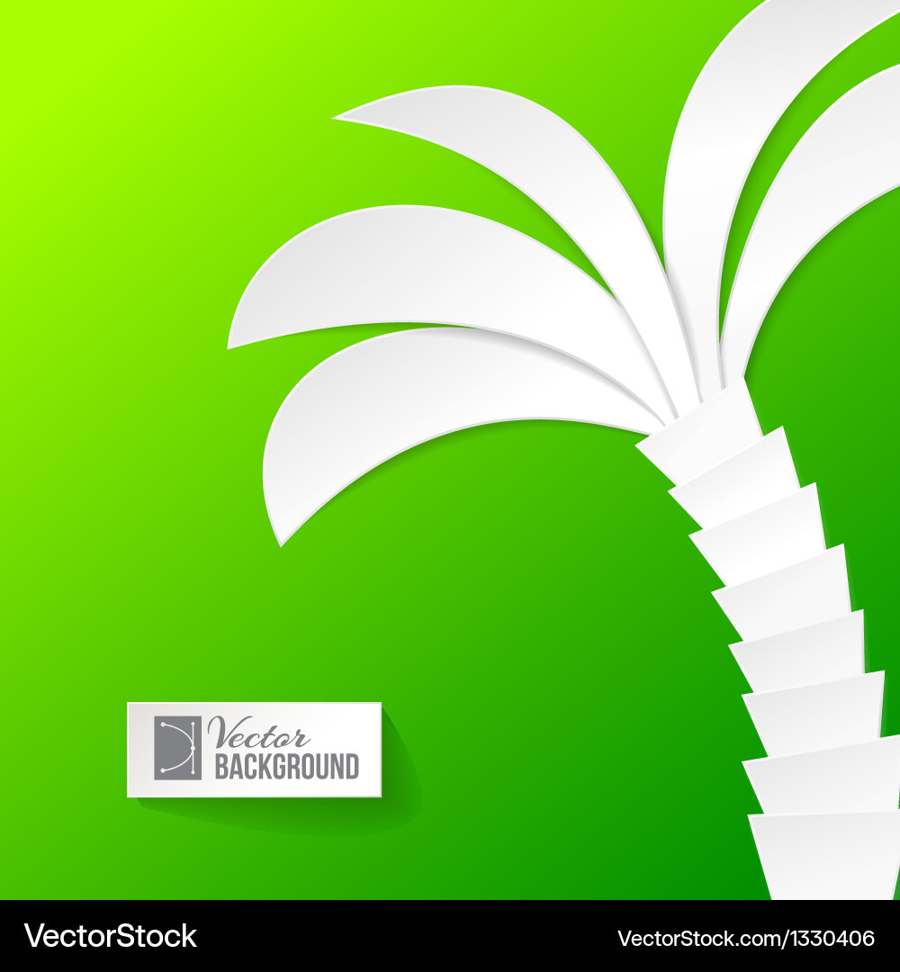 Palm tree on white background vector image