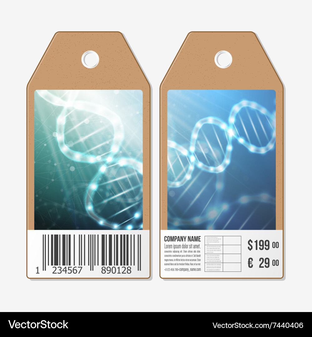 Set of 9 templates for presentation slides Vector Image