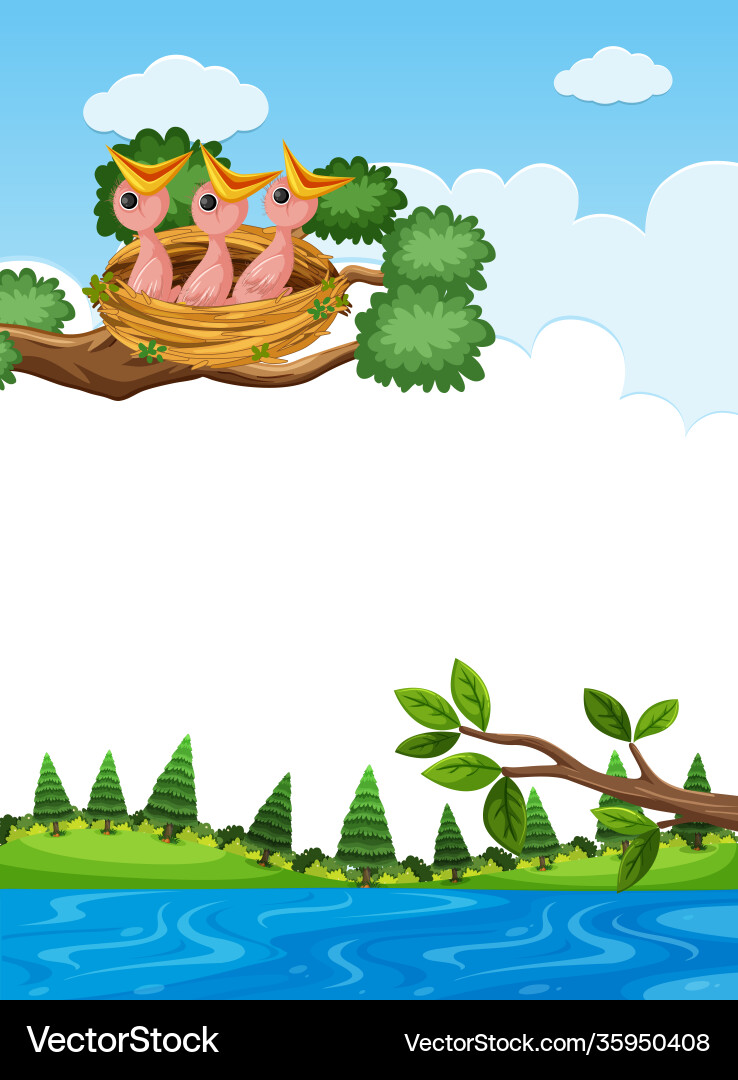 Chicks in nest on tree branch Chicks in nest on tree branch Vector Image