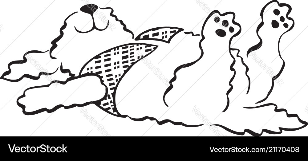 Lazy cat laying on the floor Lazy cat laying on the floor vector image
