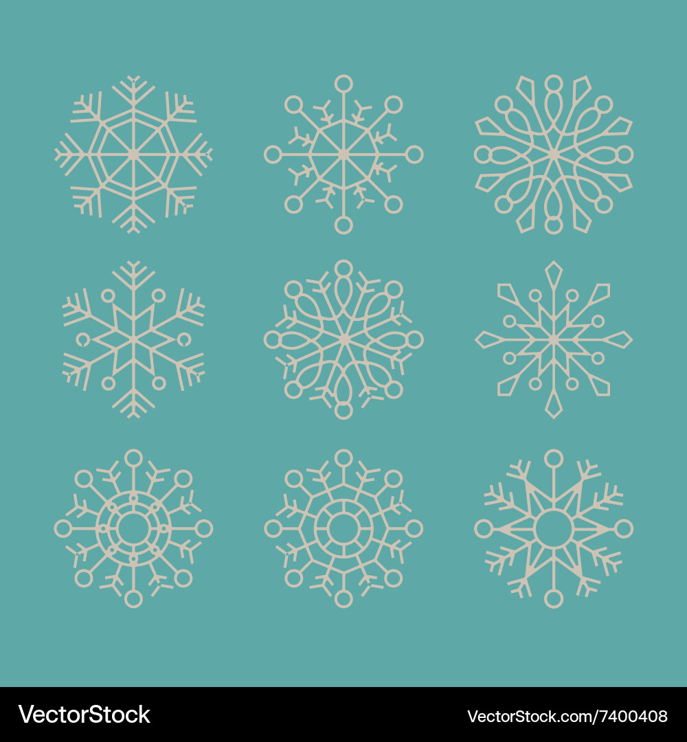 Snowflake concept design vector image