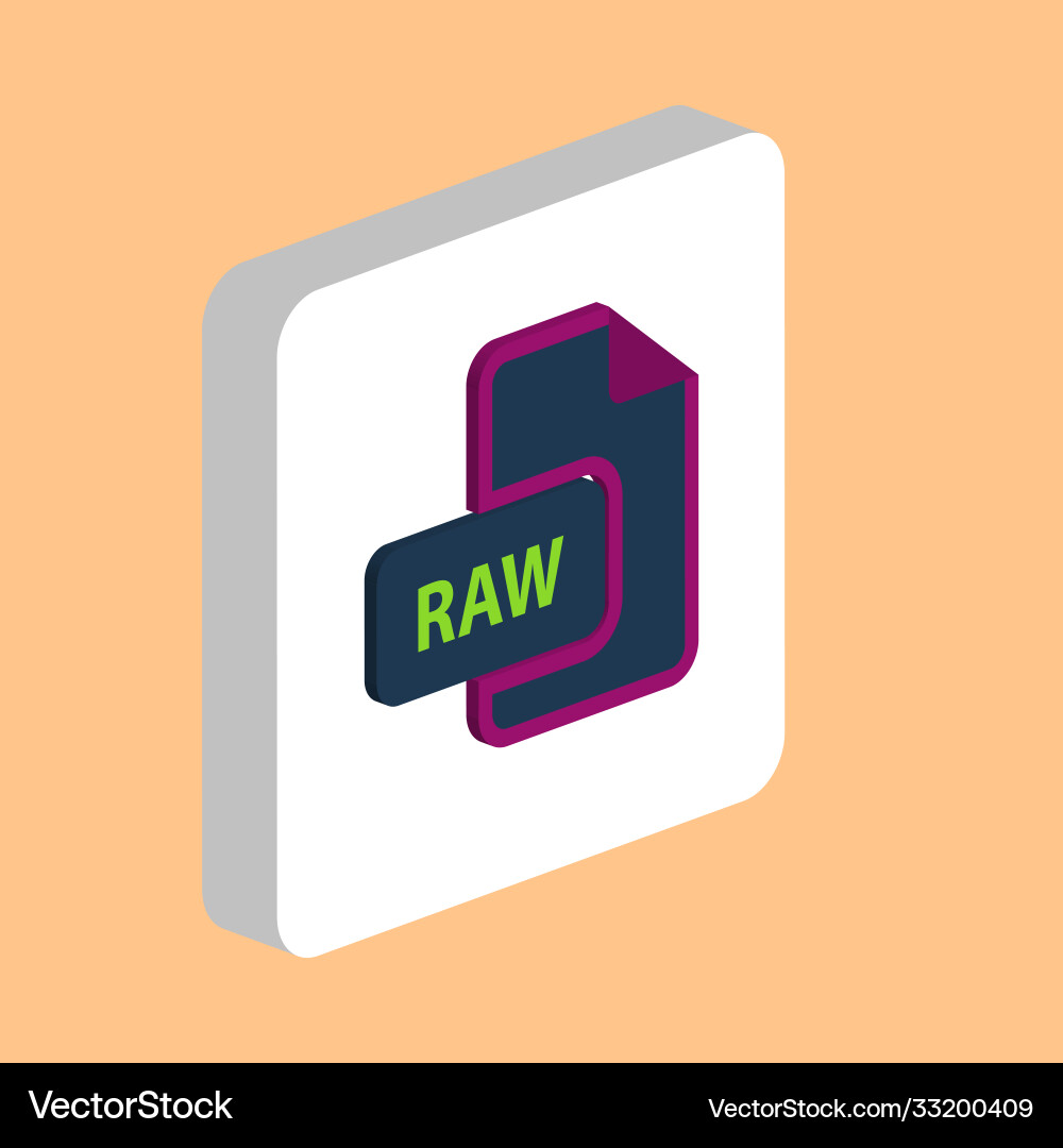 Raw computer symbol Raw computer symbol vector image