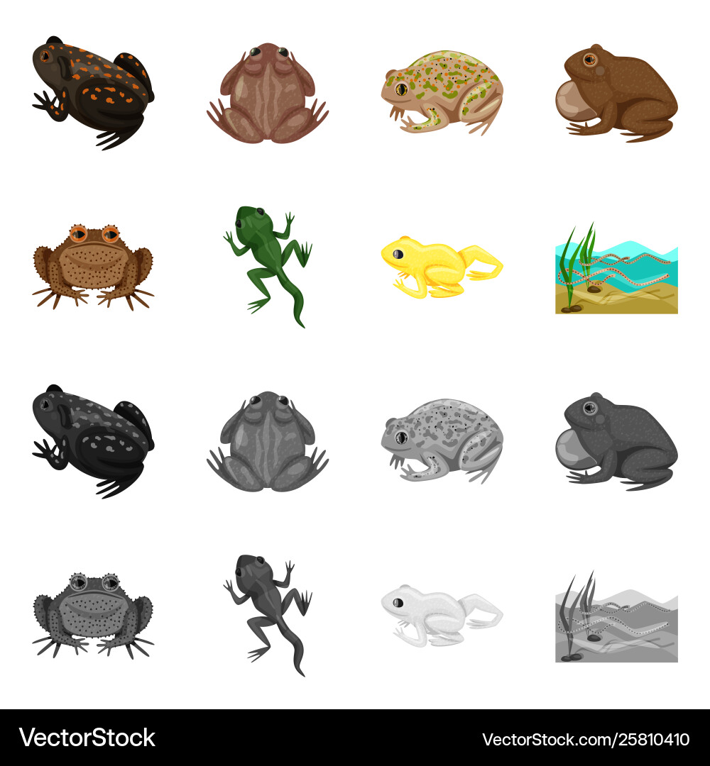 Isolated object wildlife and bog sign set Vector Image