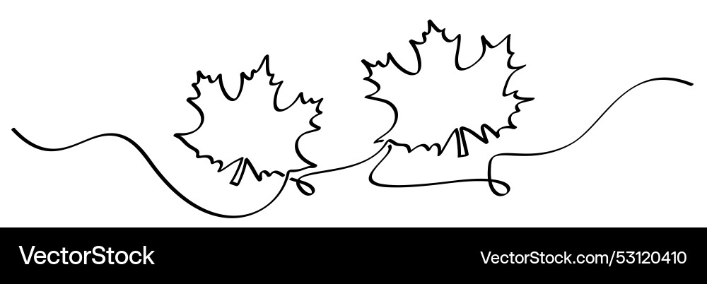 Line art of two maple leaves with flowing lines Line art of two maple leaves with flowing lines Vector Image