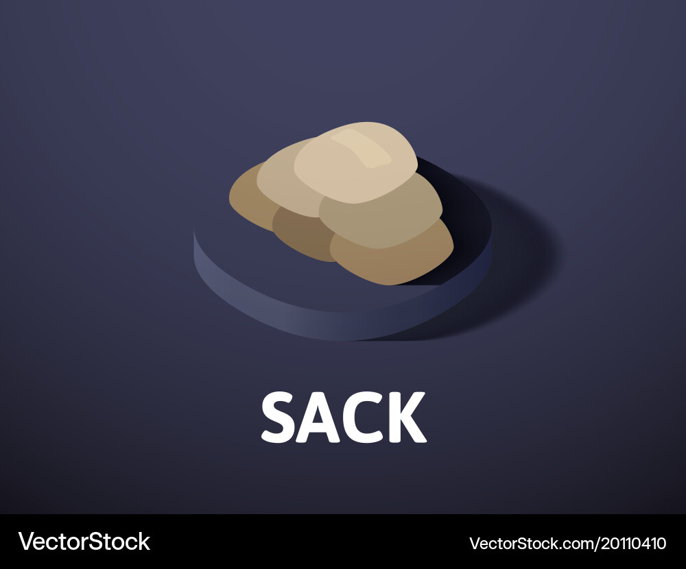 Sack isometric icon isolated on color background vector image