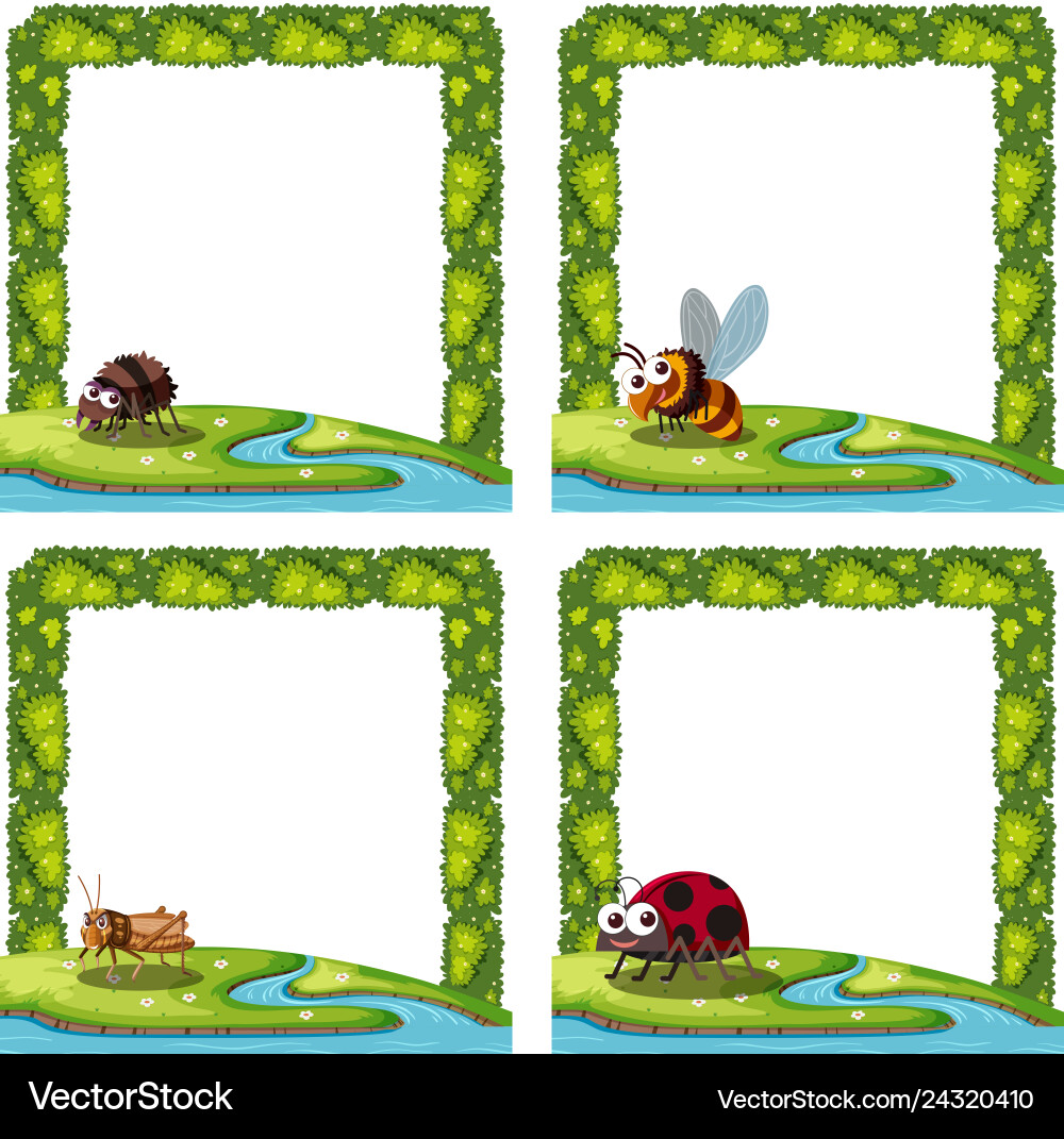 Set of insect in frame vector image