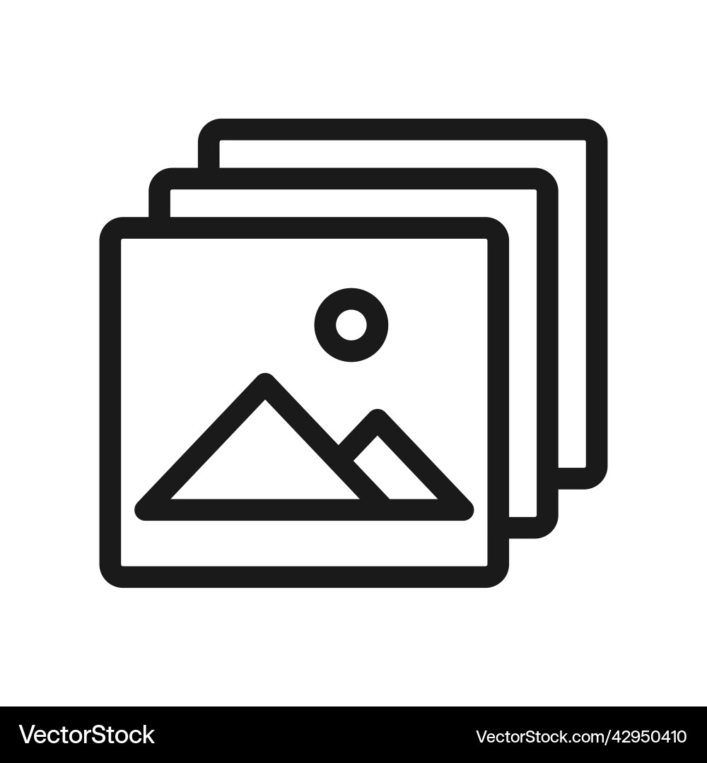 Web line icon gallery or image Web line icon gallery or image vector image