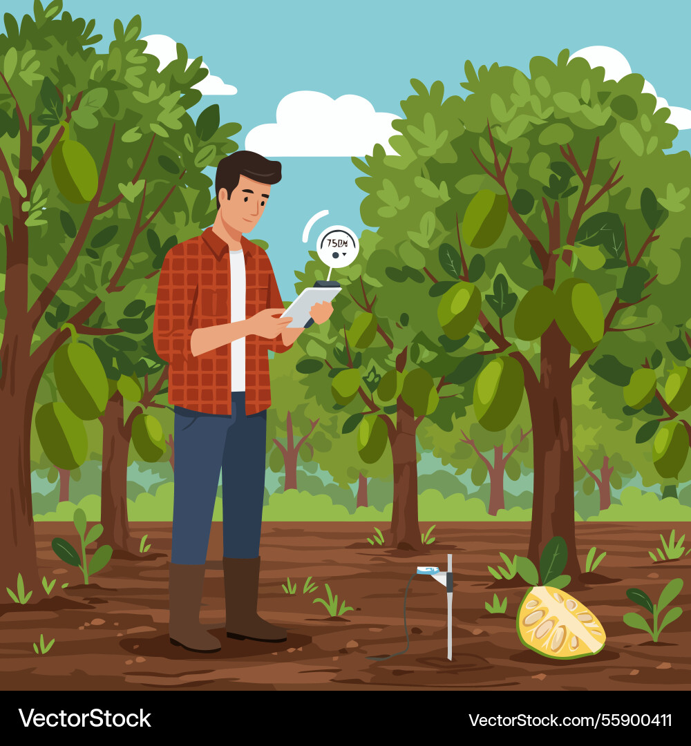 Farmer using tablet in orchard analyzing data vector image