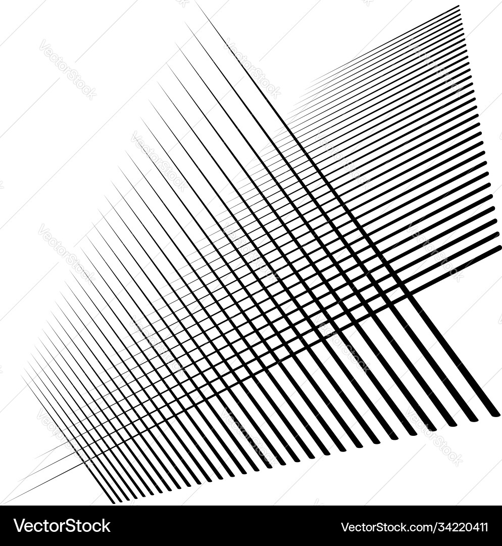 Random lines stripes grid mesh abstract reticular Vector Image