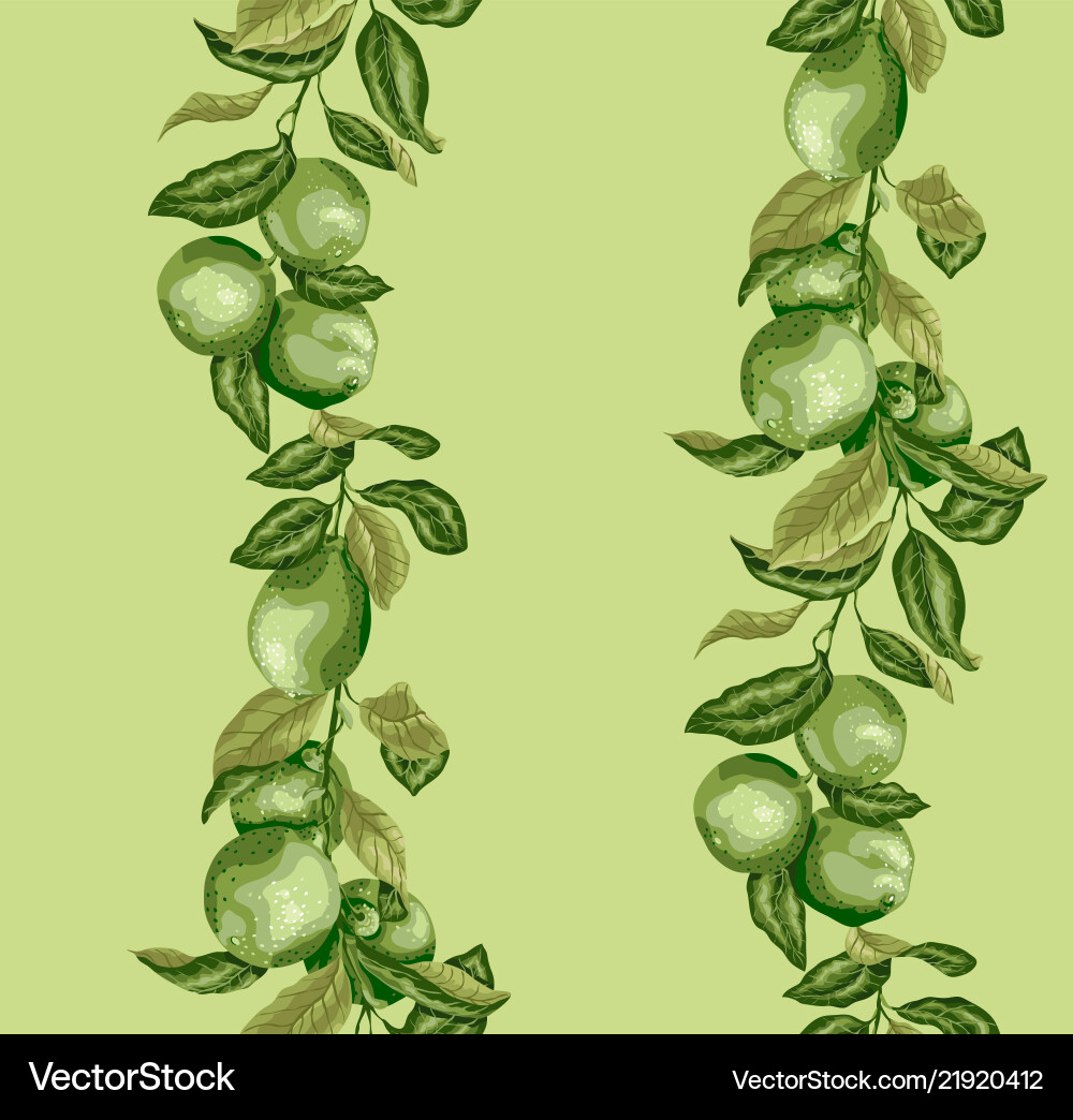 Seamless pattern with vertical lime and lemon Seamless pattern with vertical lime and lemon vector image