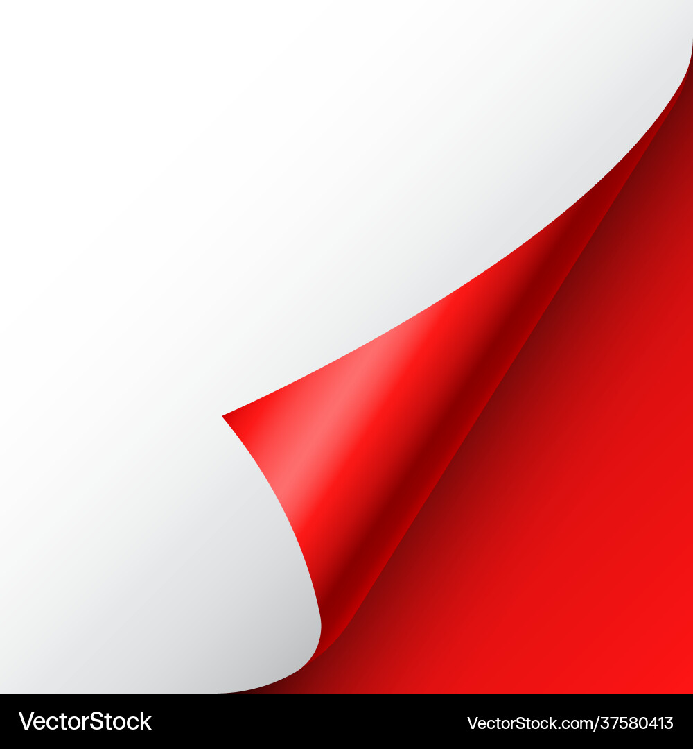 Red paper curl curled page corner with shadow vector image