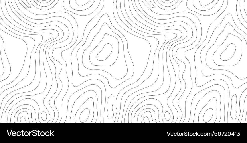 Topographic Contour Map Pattern vector image