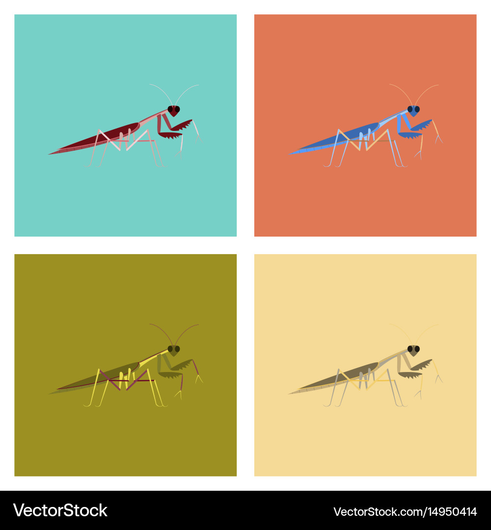 Assembly flat bug mantis Vector Image