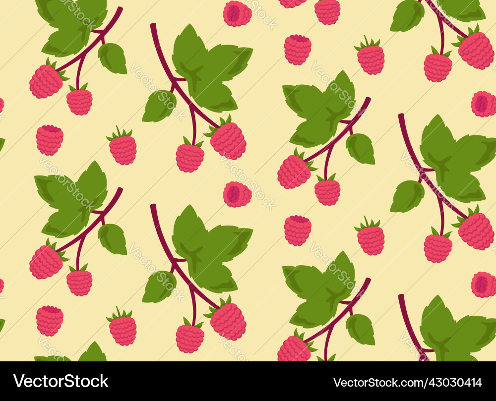 Seamless pattern with raspberries vector image