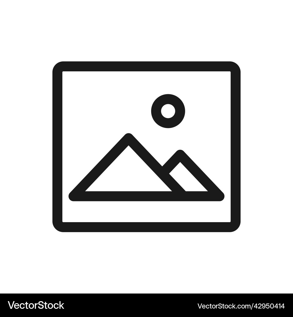 Web line icon gallery or image Web line icon gallery or image vector image