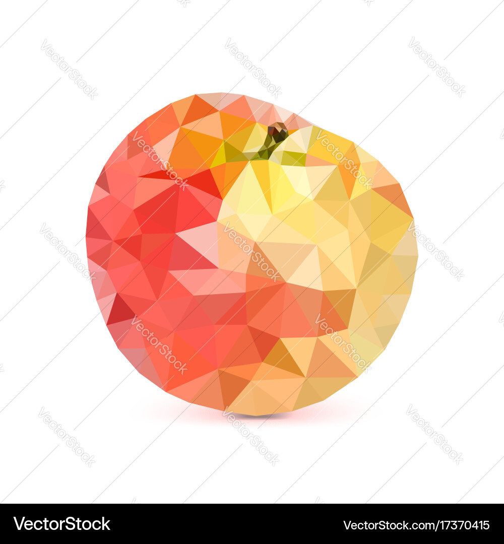 Low-poly triangular apple 3d Vector Image