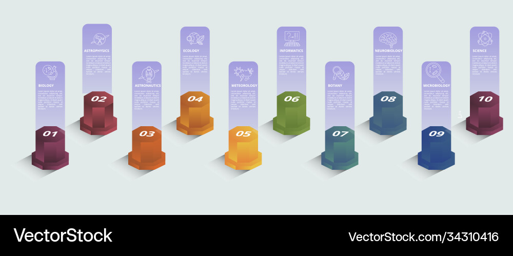 Infographic science template icons in different Infographic science template icons in different Vector Image