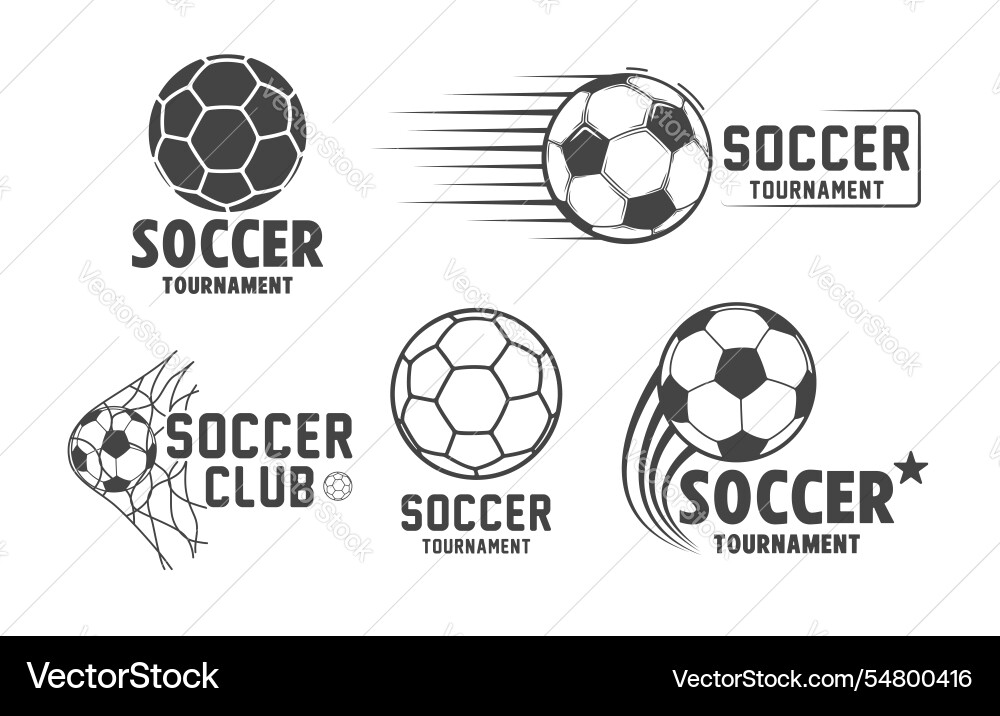 Soccer ball logo design football vector image
