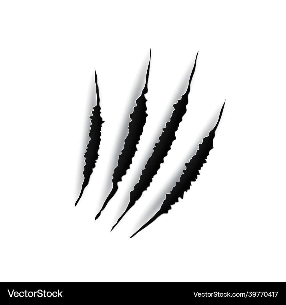 Animal claws marks scratches on white background Animal claws marks scratches on white background Vector Image