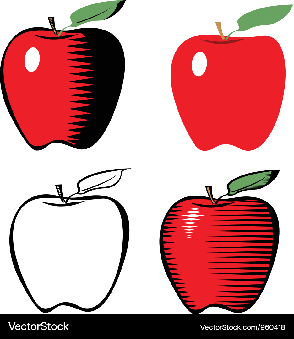 Apple Line Art Vector Image