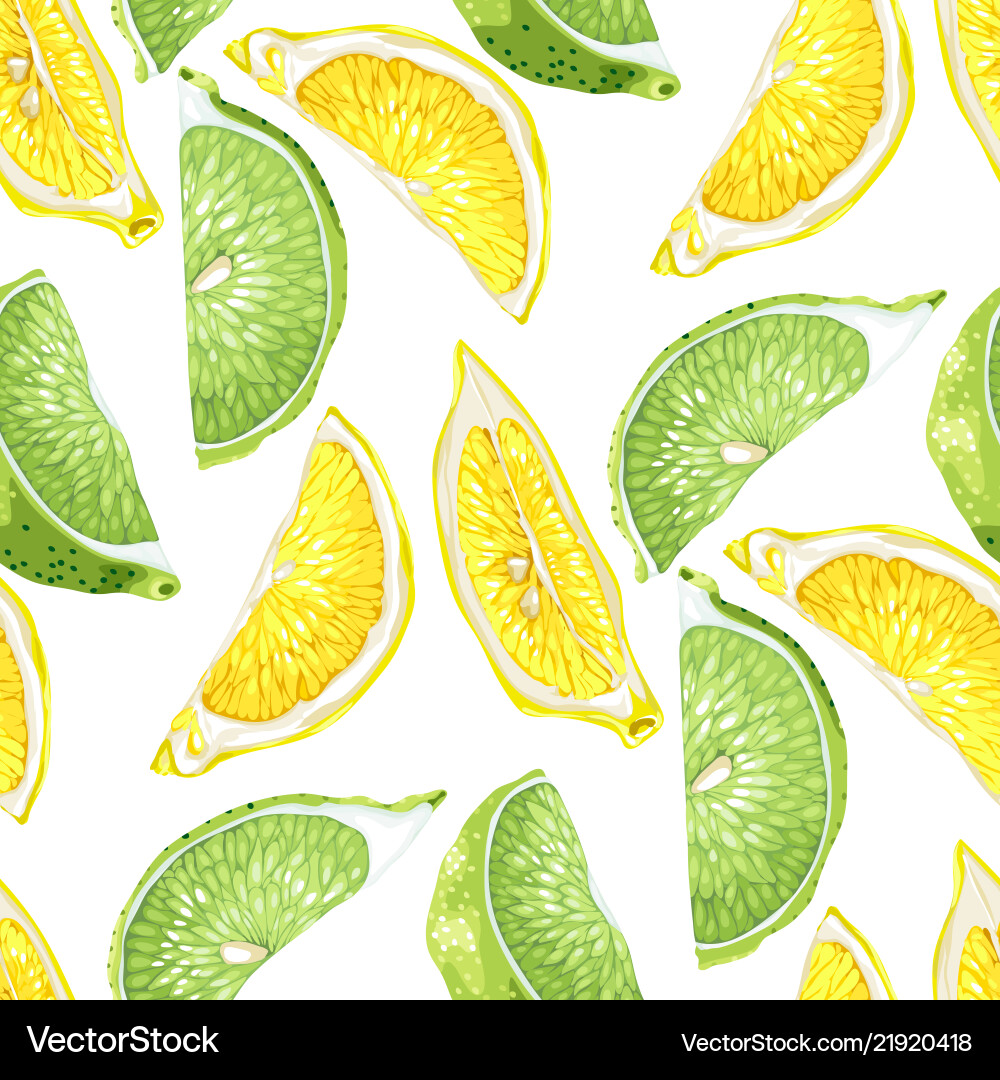 Citrus Slice Pattern - Lime & Lemon vector image