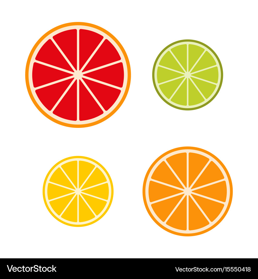 Collection of citrus slices grapefruit lime Vector Image
