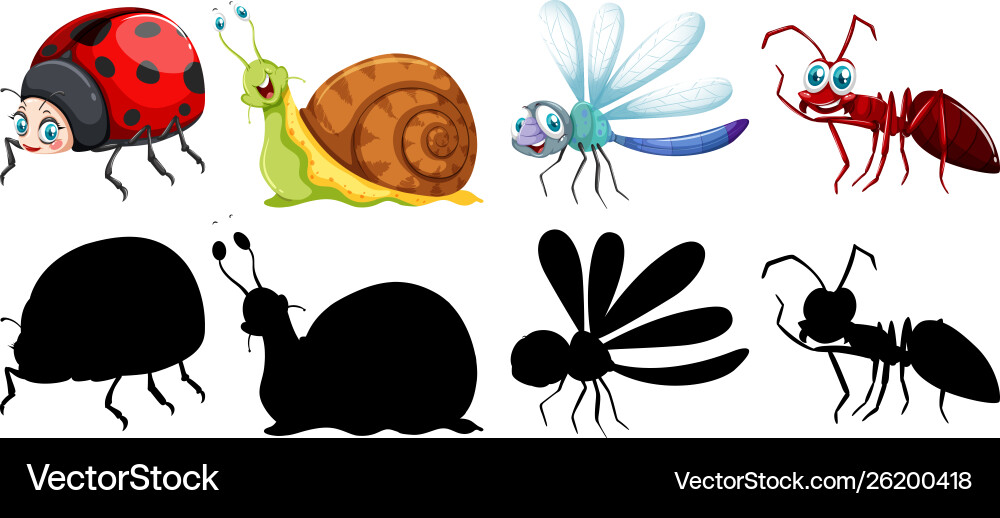 Set insect character vector image