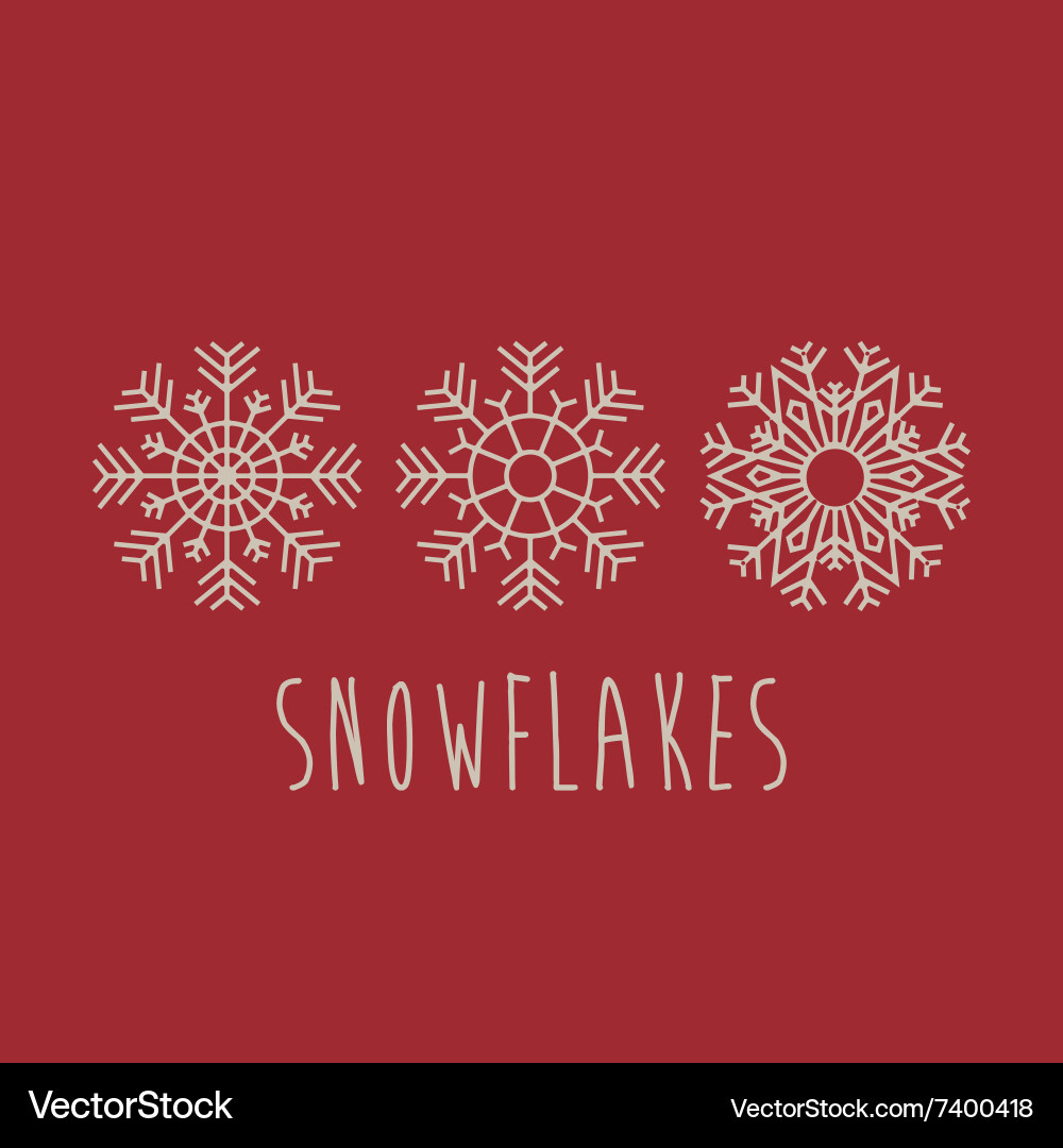Snowflake concept design vector image