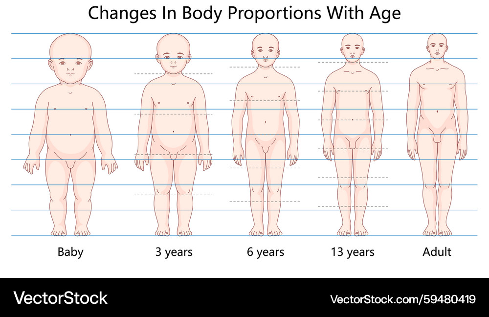 Physical development Vector Images & Graphics for Commercial Use ...