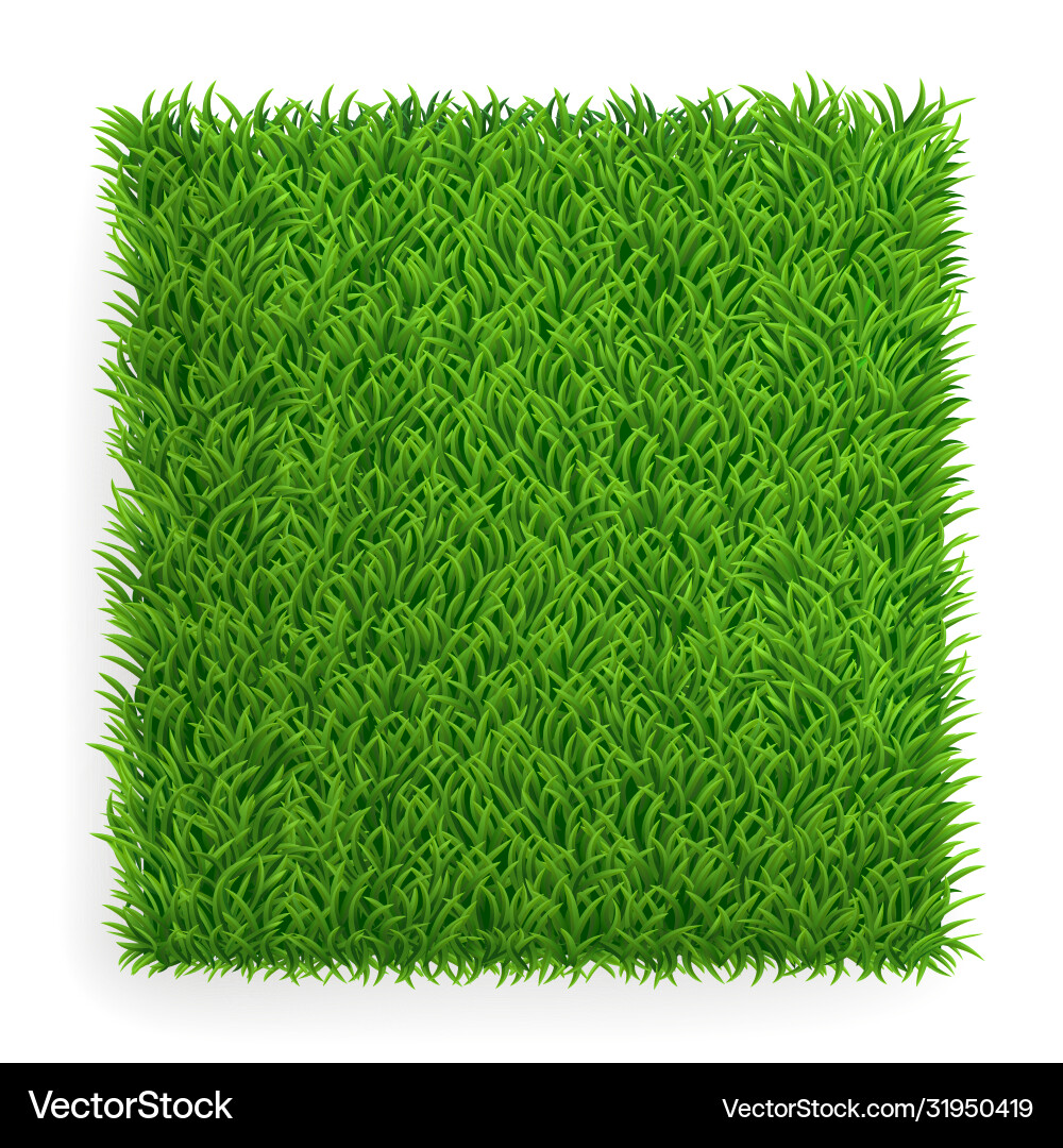Realistic Green Grass Texture – Royalty-Free Vector | VectorStock, image size:1000x1080