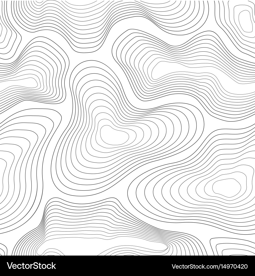 Topographic Map Pattern vector image