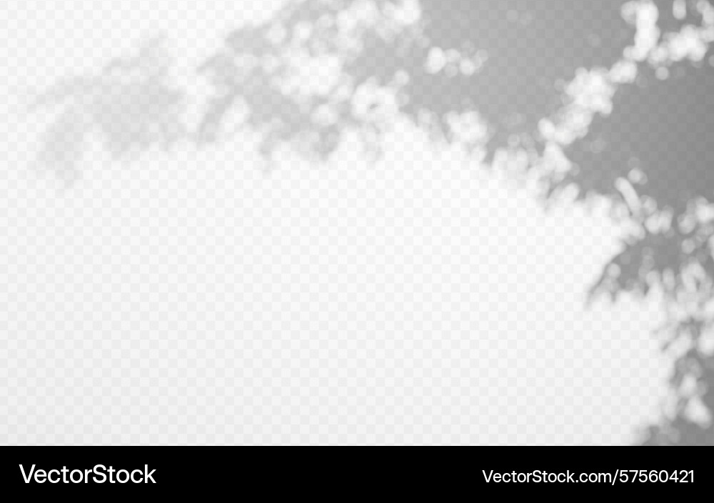 Abstract shadow overlay from tree branch Abstract shadow overlay from tree branch vector image