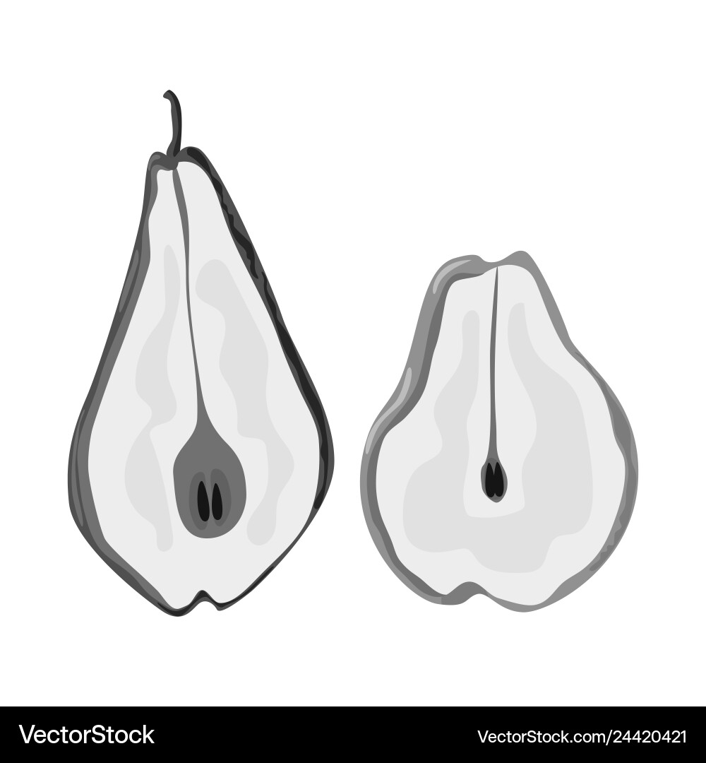 Isolated object of pear and dry symbol collection vector image