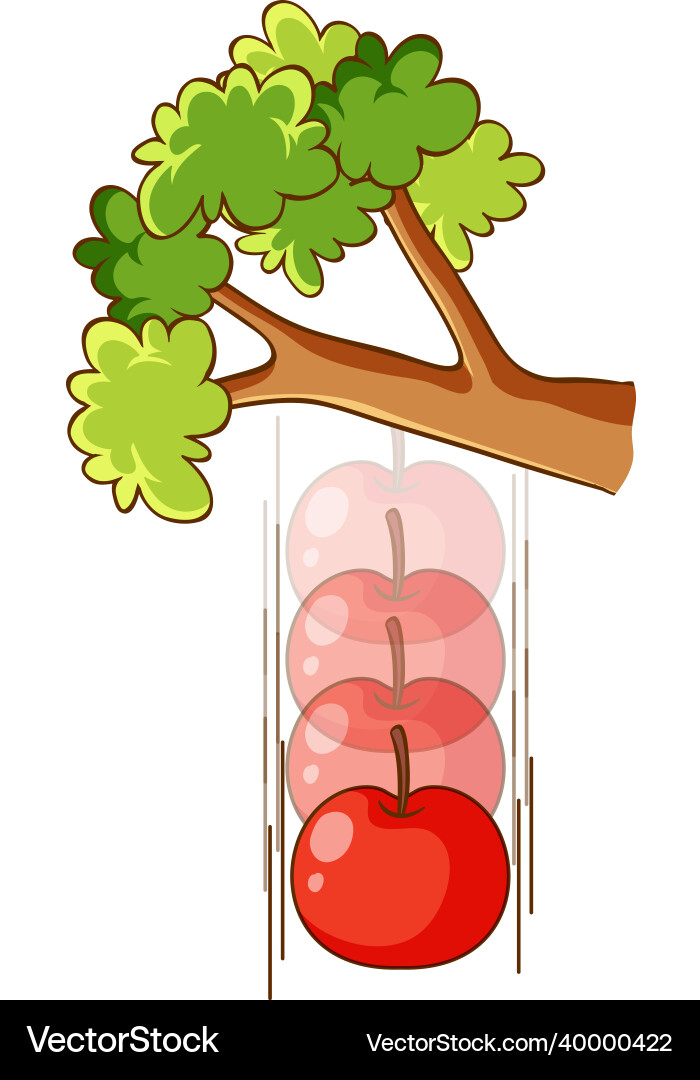 An apple falling from a tree on white background An apple falling from a tree on white background vector image