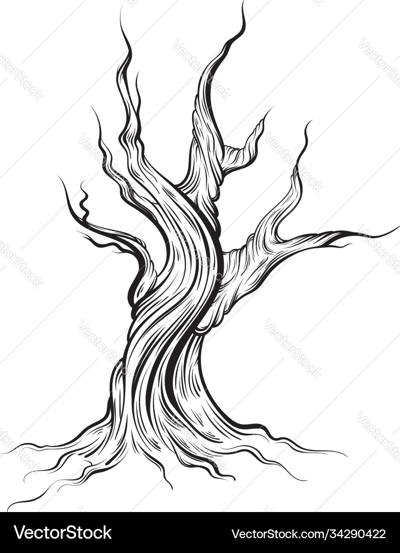 Hand-Drawn Dead Tree Silhouette – Royalty-Free Vector | VectorStock, image size:783x1080