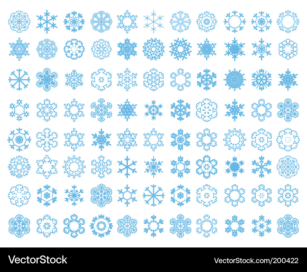 Winter Snowflakes vector image
