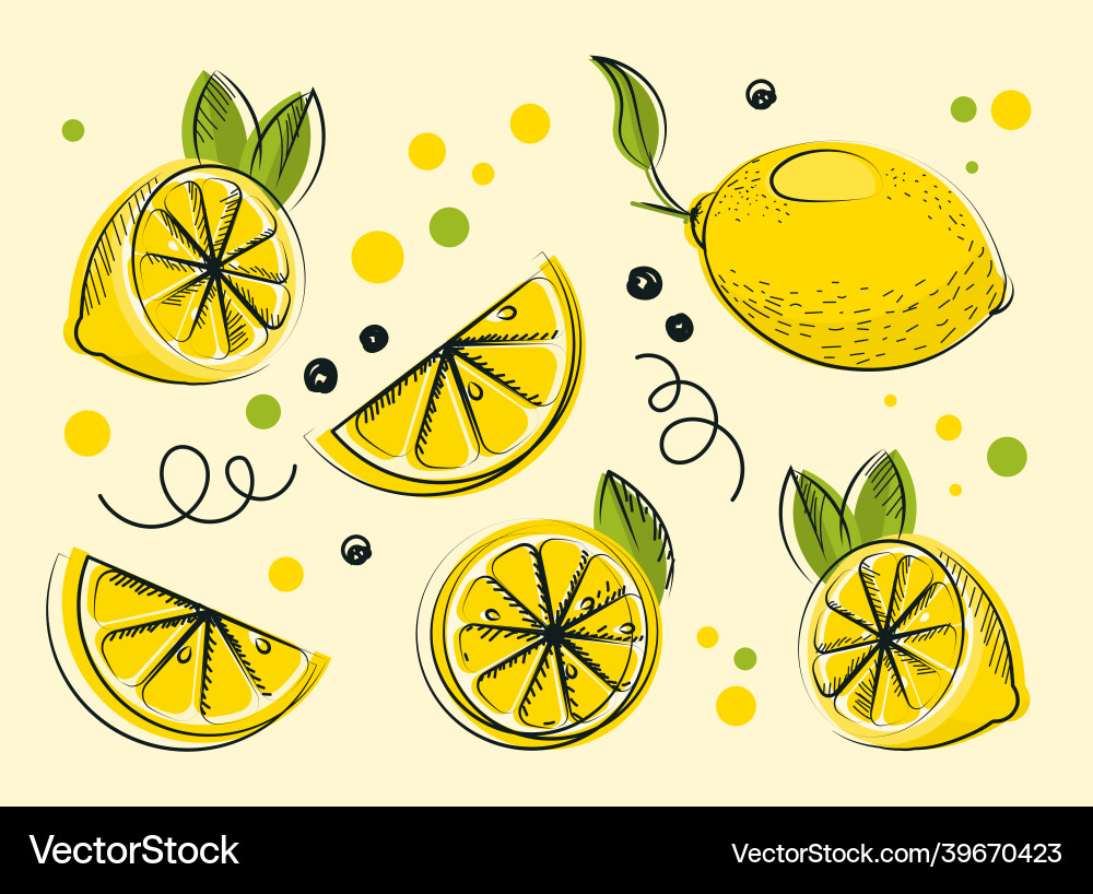 Collection of lemons Collection of lemons vector image