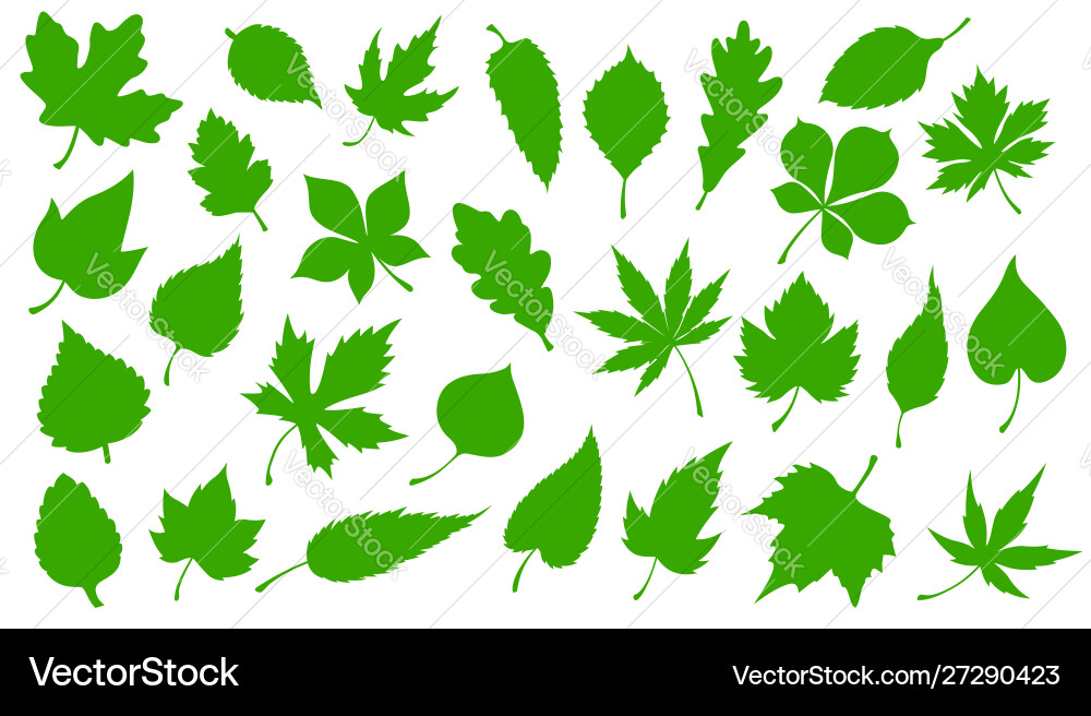 Green leaves nature tree leaf icons vector image