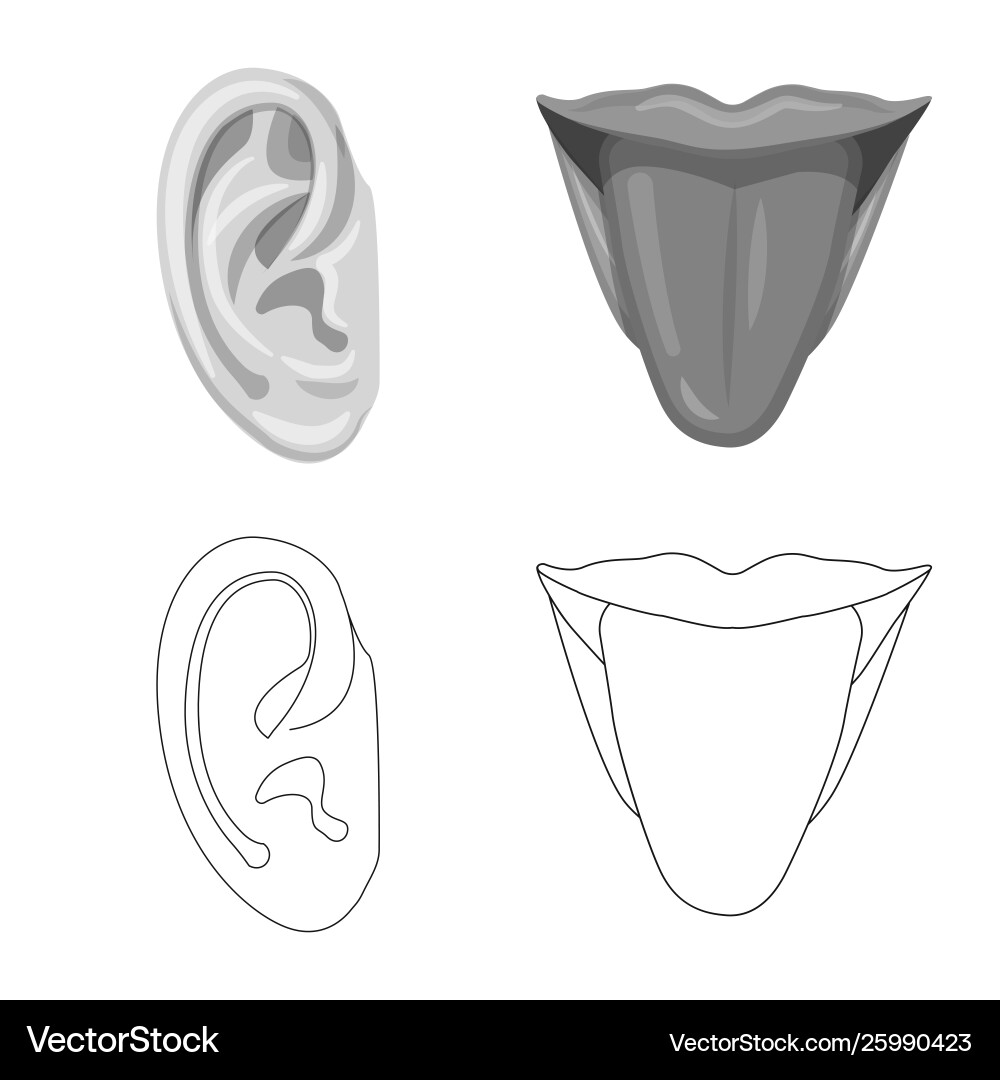 Isolated object human and part symbol Vector Image