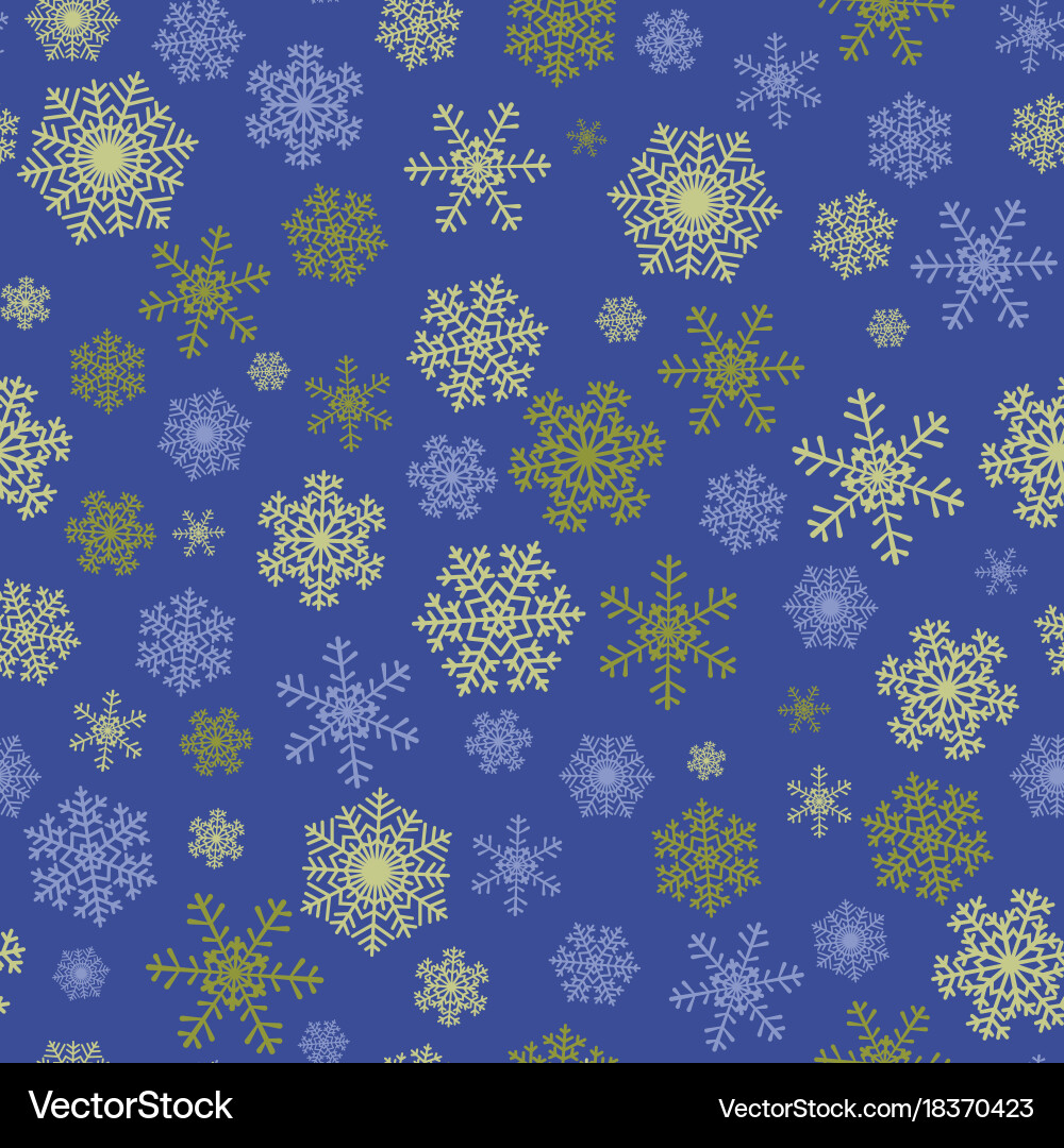 Winter Snowflake Pattern vector image