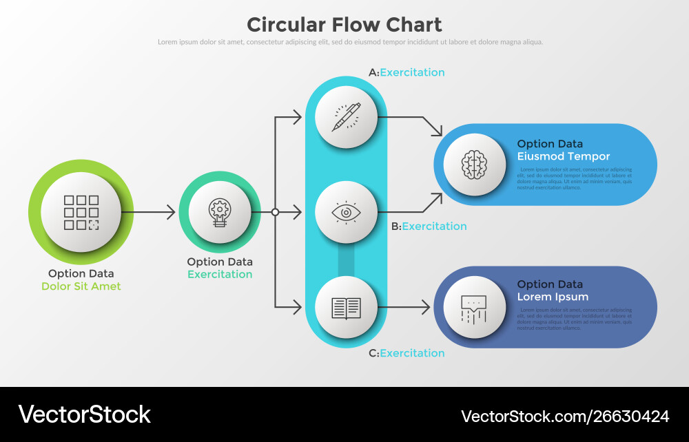 Workflow Diagram Template vector image