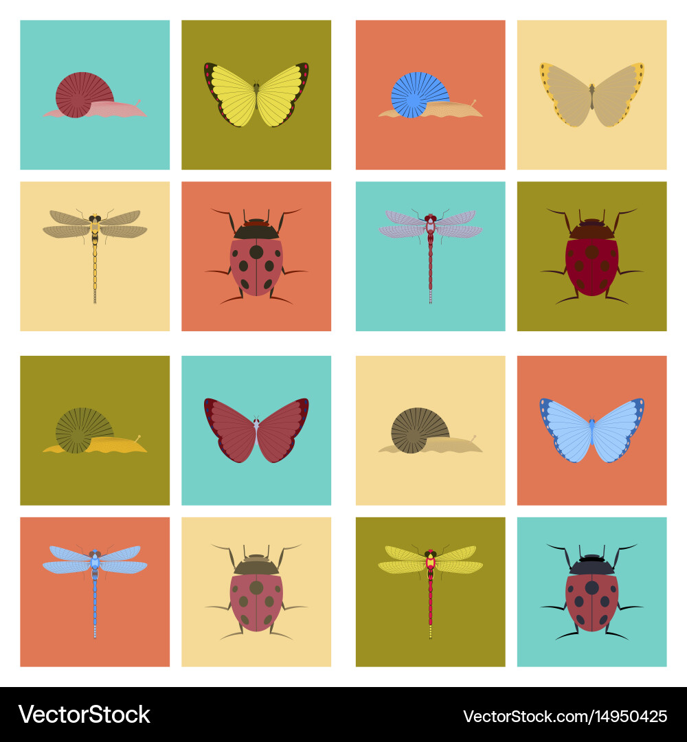 Assembly flat bug snail butterfly vector image