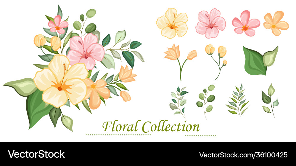 Floral Branch with Delicate Flowers vector image