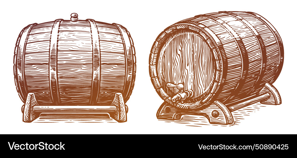 Wooden barrel oak cask sketch engraving style vector image