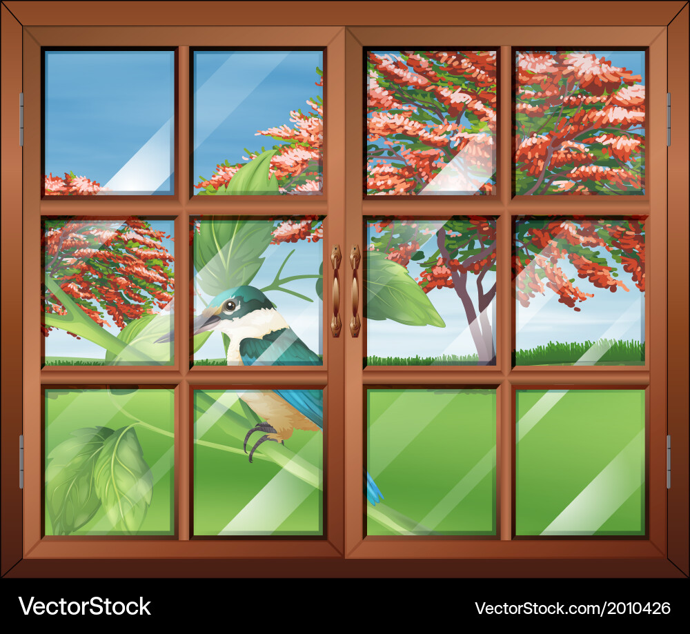 A closed window with view of the bird outside Vector Image