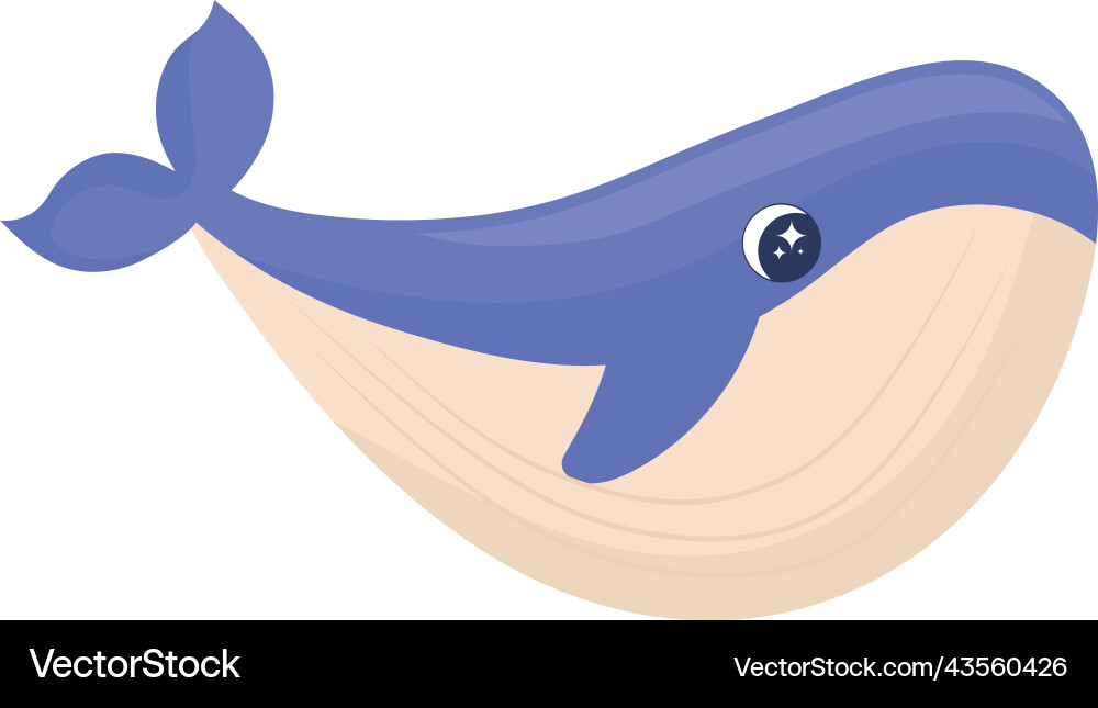 Beluga Whale Illustration Vector Image